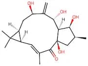 7β-Hydroxylathyrol