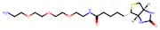 Amine-PEG3-Biotin