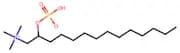 Dodecylphosphocholine