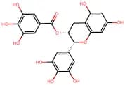 (-)-Epigallocatechin Gallate