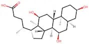 Cholic Acid
