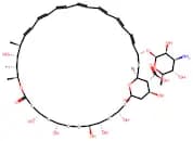 Amphotericin B