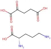 Ornithine-α-ketoglutarate