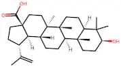 Betulinic acid