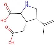Kainic acid