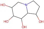 Castanospermine