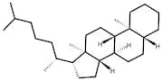 5α-Cholestane