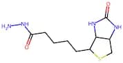 Biotin Hydrazide