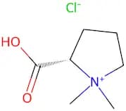 Stachydrine Hydrochloride