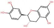 (±)-Catechin