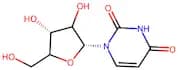 Uridine
