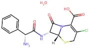 Cefaclor monohydrate