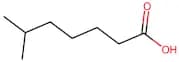 6-Methylheptanoic acid