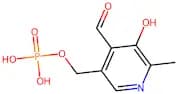 Pyridoxal phosphate