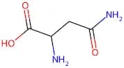L-Asparagine