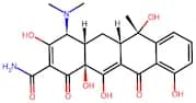 Tetracycline