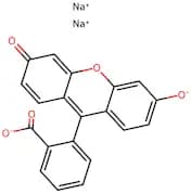 Fluorescein Sodium