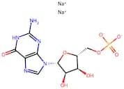 5'-Guanylic acid disodium salt