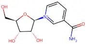 Nicotinamide riboside
