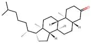 5α-Cholestan-3-one