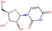 1-β-D-Arabinofuranosyluracil