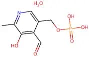 Pyridoxal 5'-phosphate hydrate