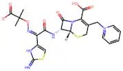 Ceftazidime