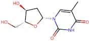 Thymidine