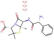 Ampicillin Trihydrate