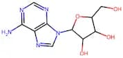 Adenosine