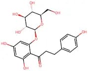 Phlorizin