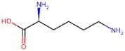 L-Lysine