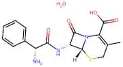 Cephalexin monohydrate