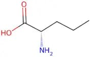 L-Norvaline