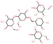Amylopectin, 10mM (in DMSO)
