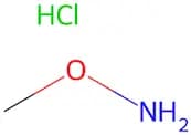 Methoxyamine HCl, 10mM (in DMSO)