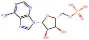 Adenosine monophosphate