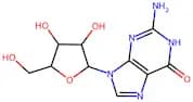 Guanosine, 10mM (in DMSO)