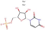 Uridine 5'-monophosphate disodium salt