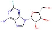 2-Fluoroadenosine, 10mM (in DMSO)