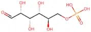 D-Glucose 6-phosphate