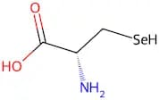 Selenocysteine