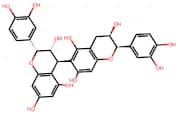 Procyanidin B5