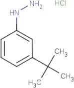 3-(tert-Butyl)phenylhydrazine hydrochloride