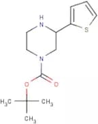 3-(Thien-2-yl)piperazine, N1-BOC protected