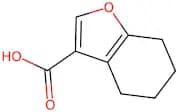 4,5,6,7-Tetrahydro-1-benzofuran-3-carboxylic acid