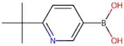 (6-(tert-Butyl)pyridin-3-yl)boronic acid