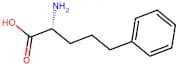 (R)-2-Amino-5-phenylpentanoic acid