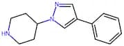 4-(4-Phenyl-1H-pyrazol-1-yl)piperidine