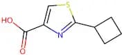 2-Cyclobutylthiazole-4-carboxylic acid